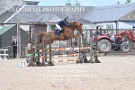 BPP_8198