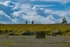 DSCF8848