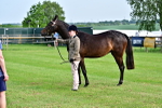 SBM_00083
