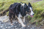 Belt Up Blencathra-4