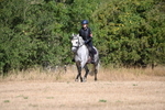 WJ6_7689