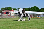 SBM_19386