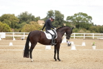 SBM_009606