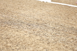 SBM_005443