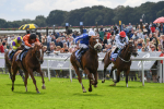 250823-Race 1-Marhaba The Champ-0128