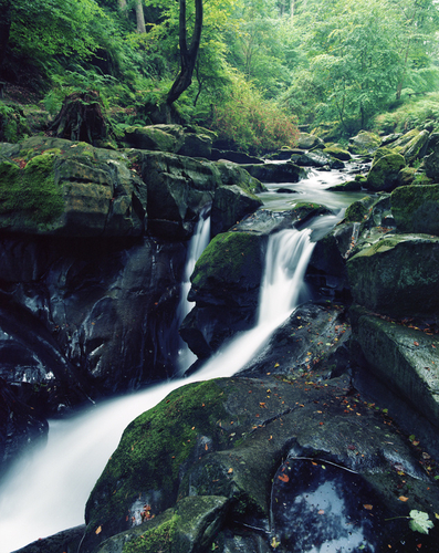 August in Ballaglass Glen. This shot taken on Kodak Ektar film using the Mamiya rz67 Pro II medium format camera.