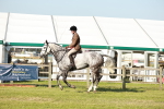 SBM_20101