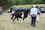 WJ6_5551