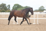 SBM_07958