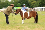 SBM_04375