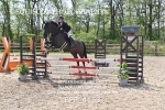 BPP_4153