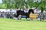 SBM_12223
