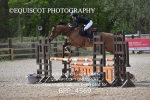 BPP_4569