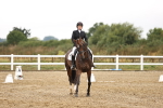 SBM_006893