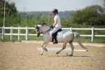 SBM_009740