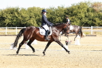 SBM_016886