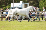 SBM_02488