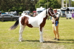 SBM_04269