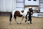 SBM_5294