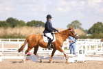 SBM_03556
