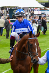 180523-Race 4-The Foxes-0460