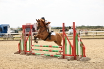 SBM_001460
