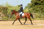 SBM_000264