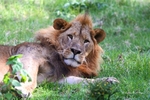 IMG_1036 Nakuru