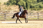 SBM_001403