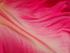 P41403340657