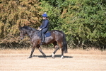 WJ6_6911