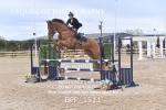 BPP_1511