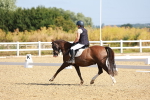 SBM_008382