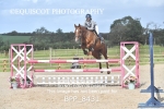 BPP_8431
