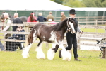 SBM_05952