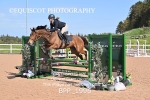 BPP_1996