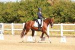 SBM_017636