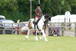SBM_17346