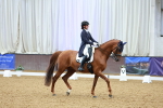 SBM_007246