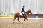 SBM_000969