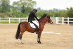 SBM_005284