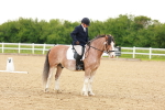 SBM_006410