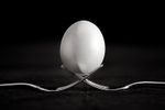 Eggsactly Balanced