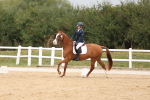 SBM_00735