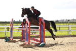 Class 17 - Senior Newcomers - 1.10m portfolio