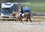 BPP_9960