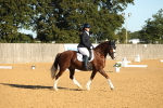SBM_14185