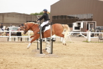 SBM_008345