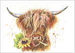 Munro the Highland Cow 693