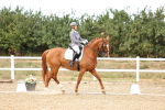 SBM_007564
